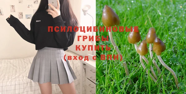 прущий лед Алексеевка