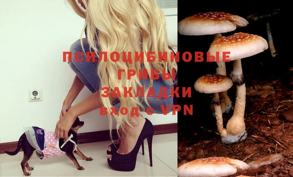 круглые Алексин
