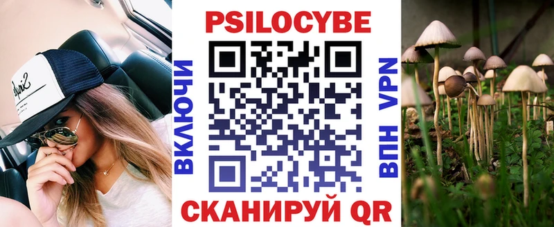 цены   Нижний Новгород  Псилоцибиновые грибы MAGIC MUSHROOMS 